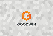 The Goodwin logo on a hexagon background