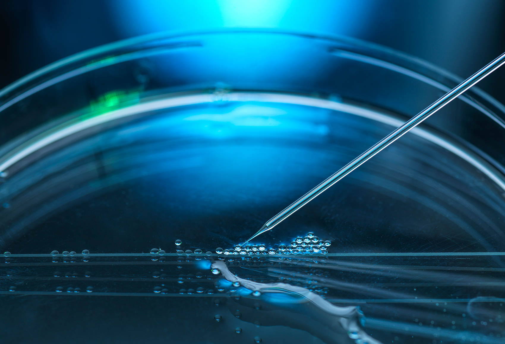 Guide to Biosimilars