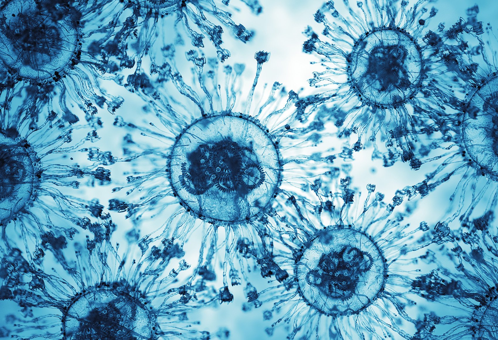 Life Sciences Year in Review 2024