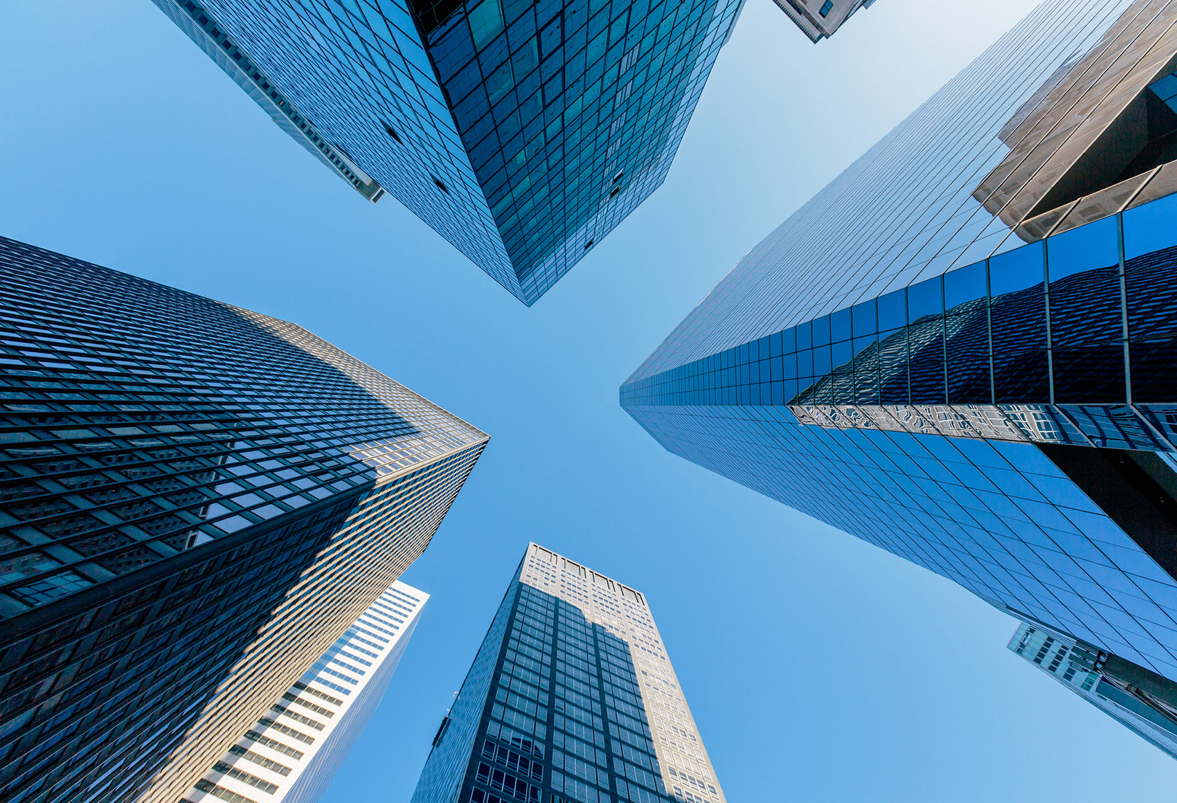 Private Equity Portfolio Company Resource