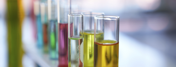 Laboratory test tubes filled with colorful liquids in a rack.