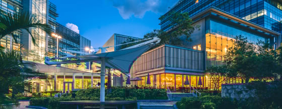 Brightly lit buildings