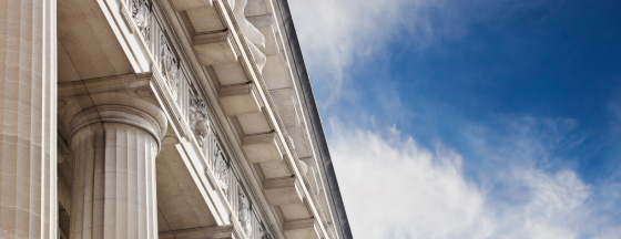 White pillars of a government building