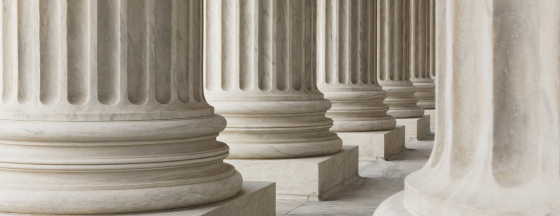 Close-up view of rows of white classical columns.