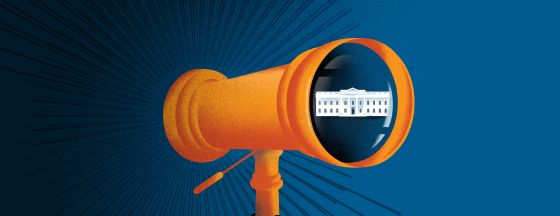 White House in a lens