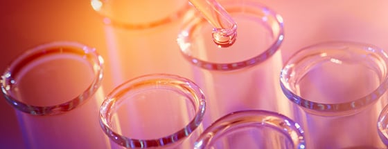 close-up photograph of test tubes in a laboratory setting