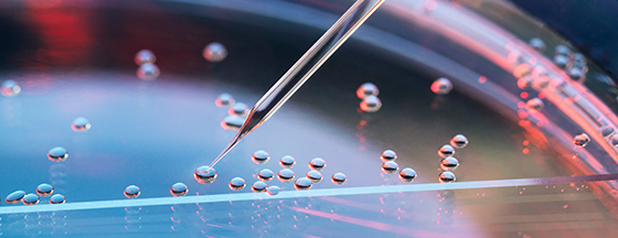 Droplets in a petri dish with a sharp object poking one, with a pink purple lighting