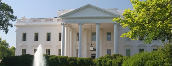 The White House
