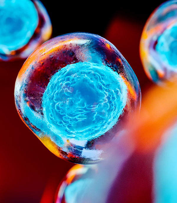 image represents a microscopic view of stem cells used in regenerative medicine