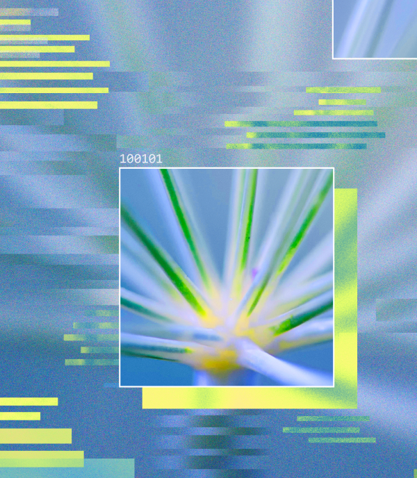 Green fractal AI