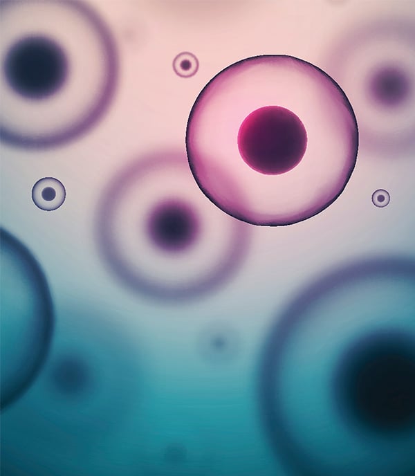 Cells under a microscope