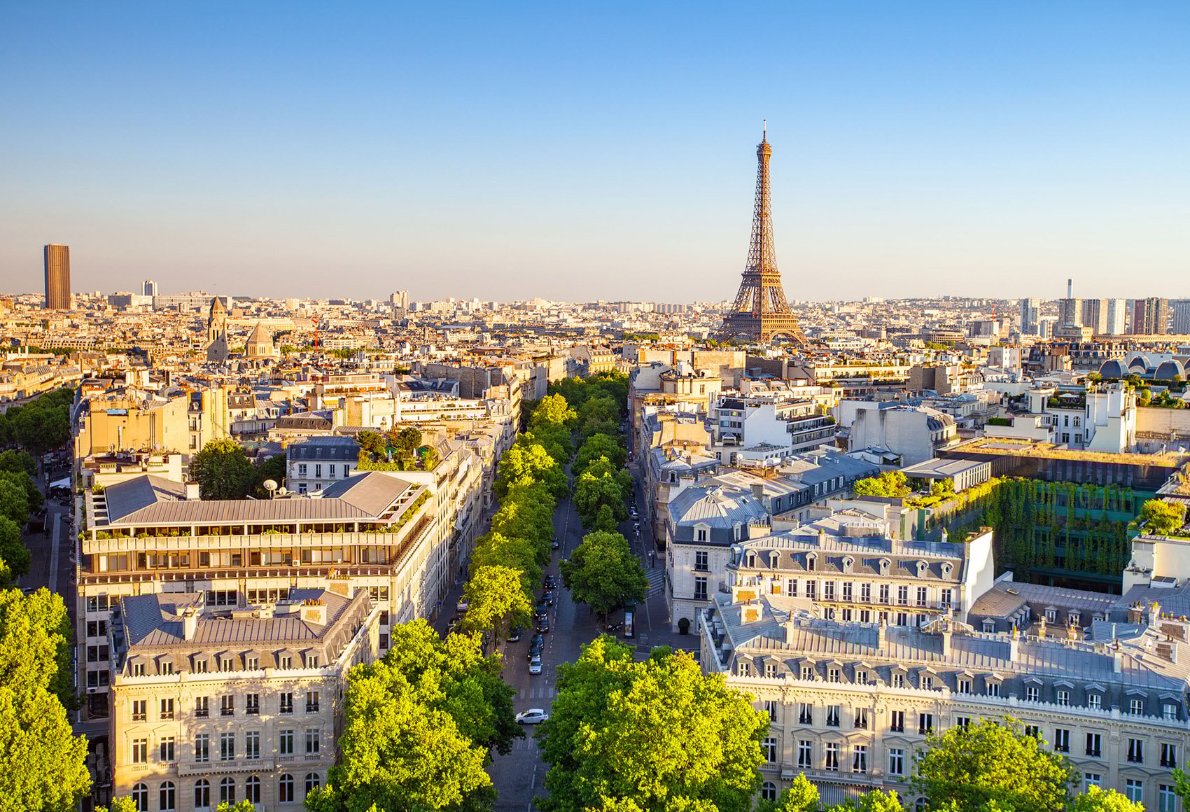 A skyline shot of the Latin Quarter neighborhood in Paris and the Eiffel Tower