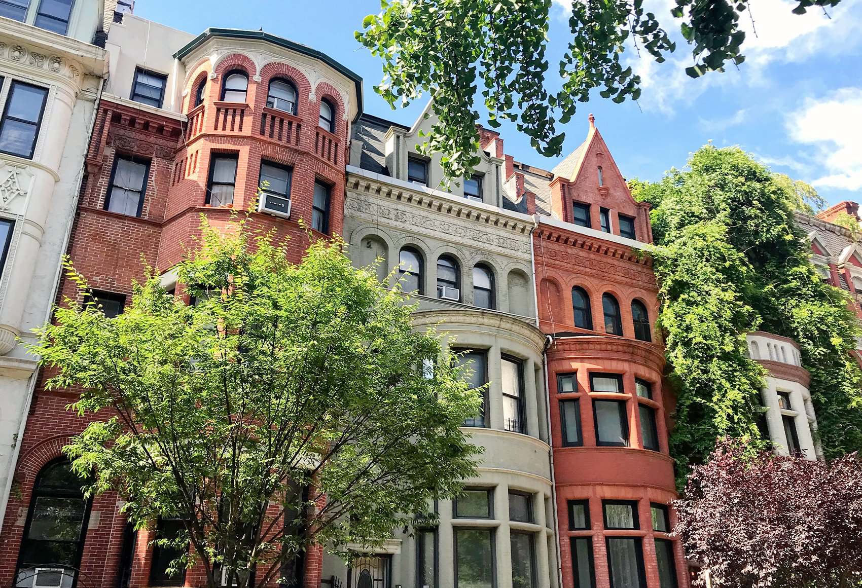 Brownstones in nature